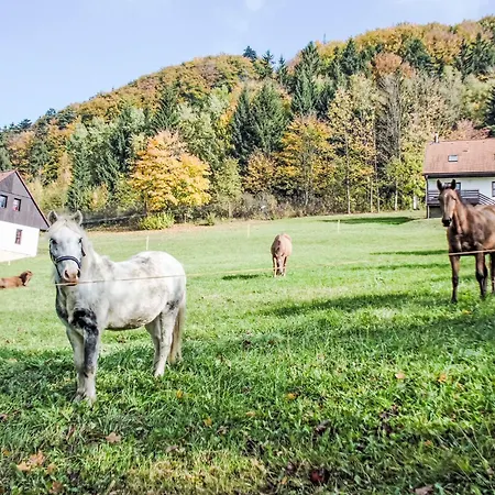 Valley Park 13 By Interhome Feriehus *